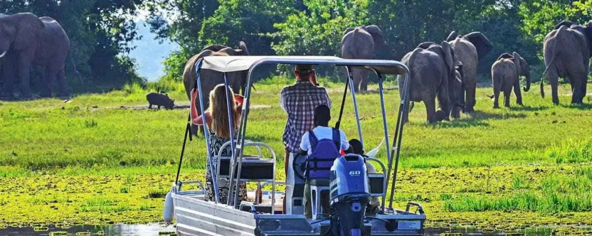 Rwanda Cultural & Wildlife Safari