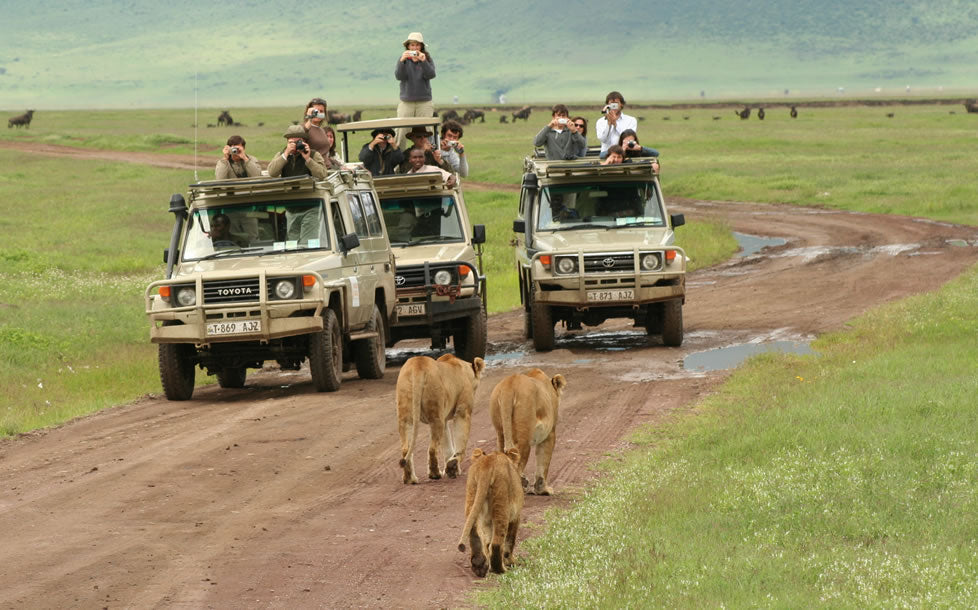 12-Day East Africa Grand Tour – Tanzania, Rwanda & Uganda