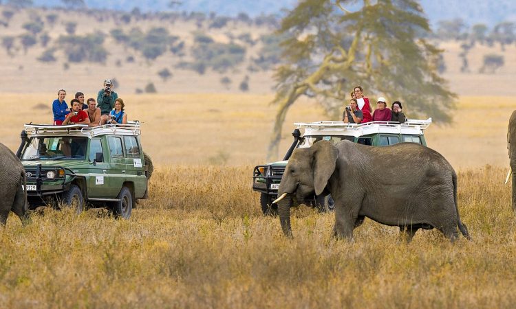 Ngorongoro Crater