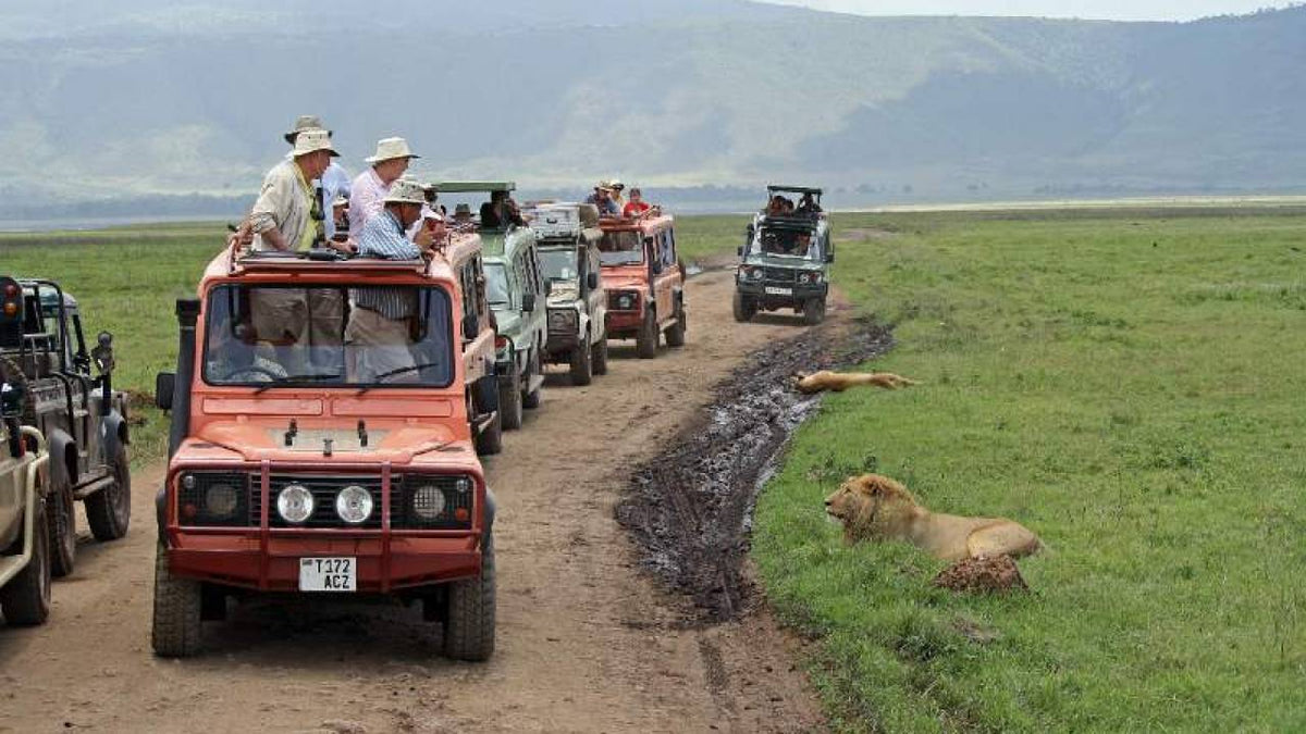 5-Day Tanzania Classic Safari – Serengeti & Ngorongoro