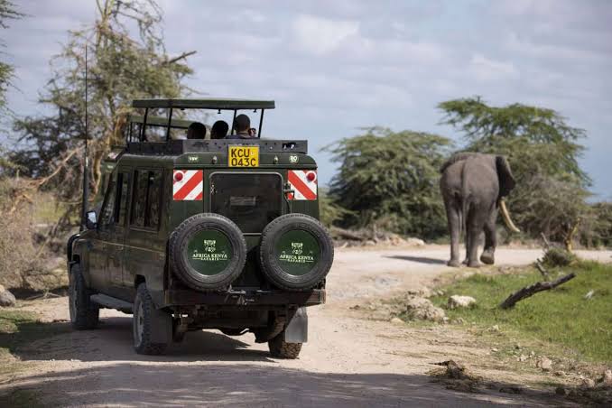 3 Days Amboseli Elephant Safari