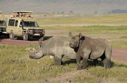 6-Day Ngorongoro Crater & Tarangire Wildlife Safari