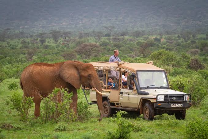 4 Days Samburu & Laikipia Wildlife Safari