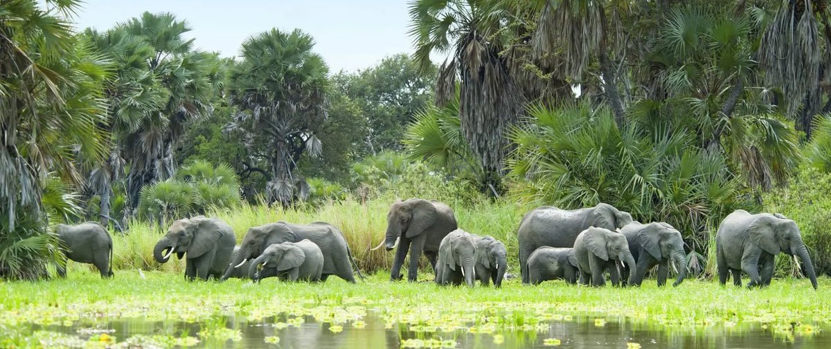 9-Day Selous & Ruaha Wilderness Safari