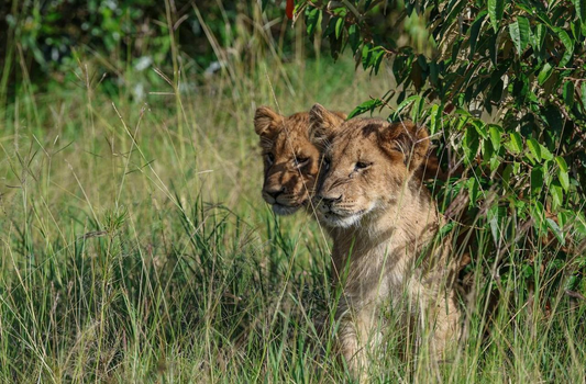 Lake Mburo National Park