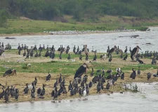 Lake Mburo National Park