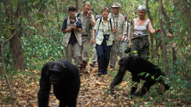 Bwindi Impenetrable National Park