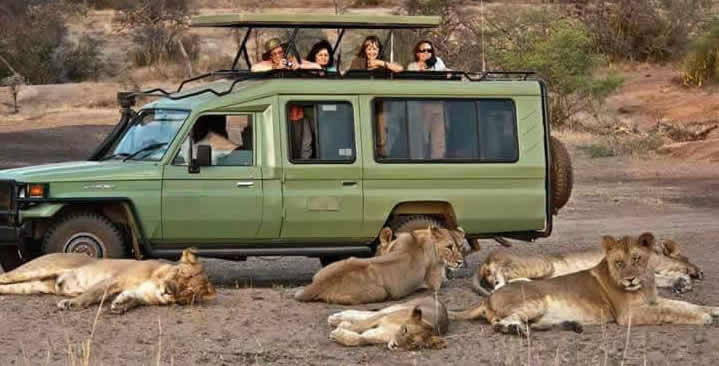 Uganda Game Drives Safari
