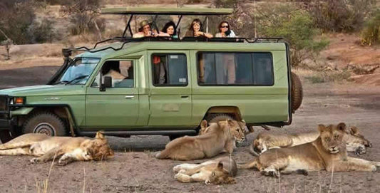 Uganda Game Drives Safari
