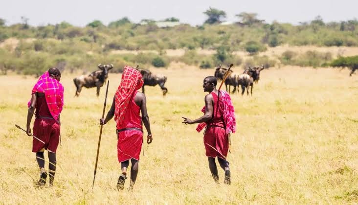 Maasai Warriors