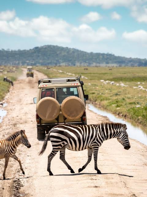 8-Day Tanzania Safari & Zanzibar Beach