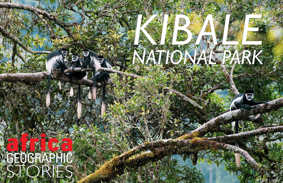 Kibale National Park