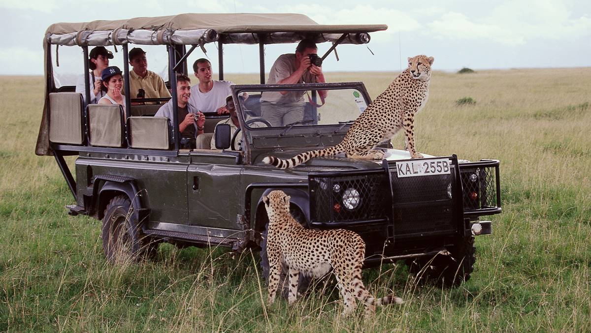 5 Days Maasai Mara Fly-in Safari